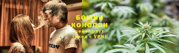 первитин Новодвинск