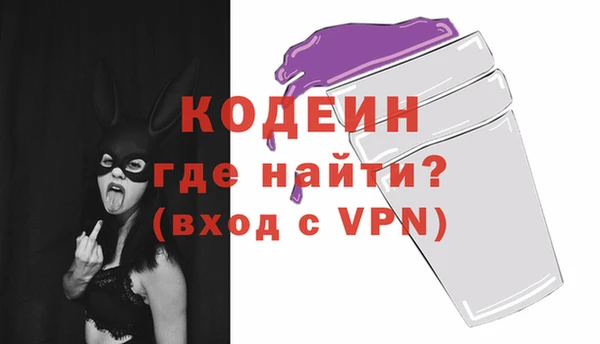 крисы Кулебаки