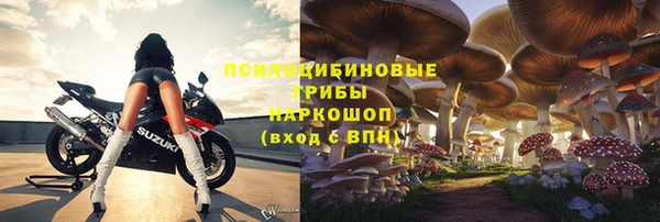 герыч Новокубанск