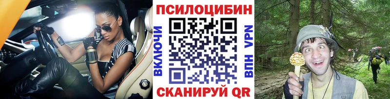 купить закладку  Красный Холм  Галлюциногенные грибы GOLDEN TEACHER 